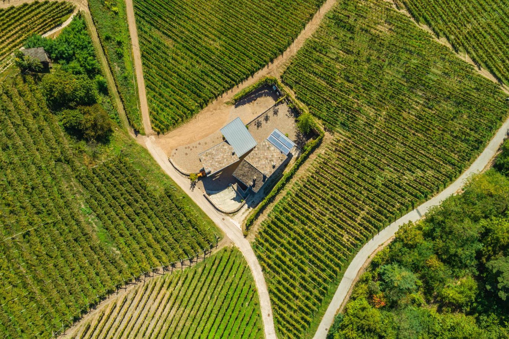 Agriturismo Maso Besleri Чембра Экстерьер фото
