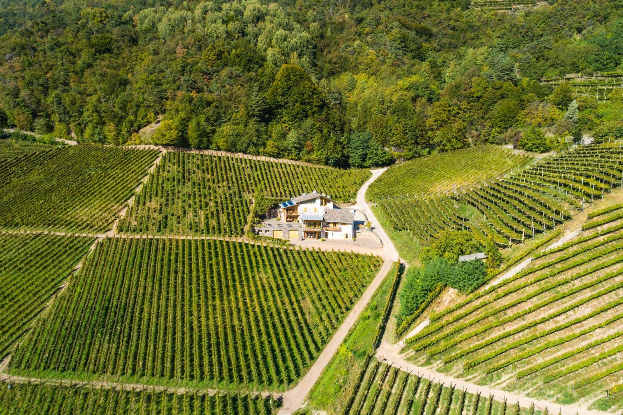 Agriturismo Maso Besleri Чембра Экстерьер фото